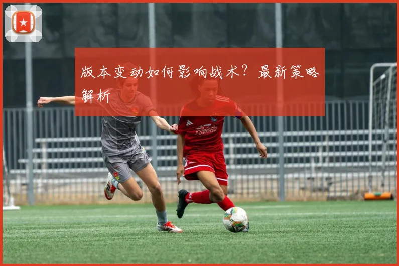 版本变动如何影响战术？最新策略解析